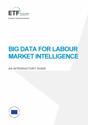Big Data for labour market intelligence: An introductory guide