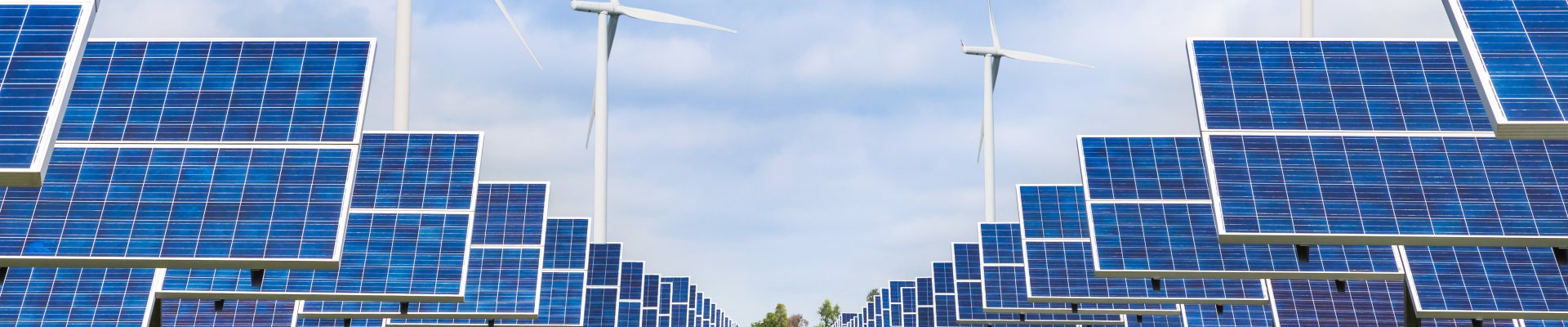 Workshop "Capacity building for the renewable energy future sector skills project"