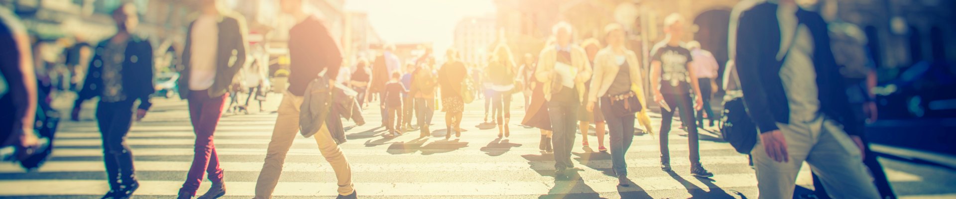 ETF Network for Excellence (ENE): Sharing Innovation in Social Inclusion (SISI)