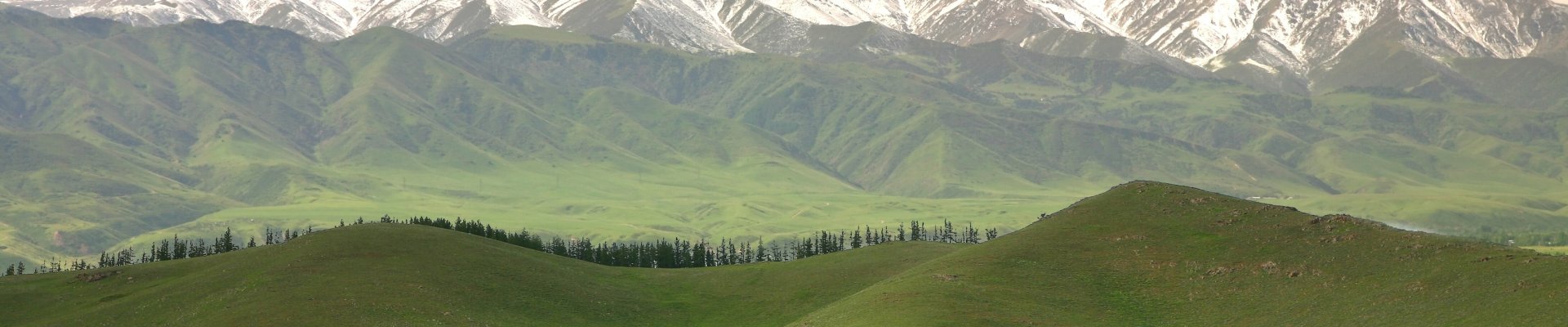 DARYA: Demand and supply of qualified personnel in Kyrgyzstan