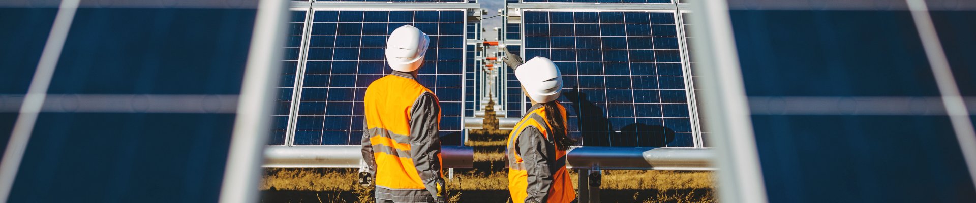 Going Green: upskilling and reskilling of adults for the green transition - ETF Skills Lab Network of Experts Webinar