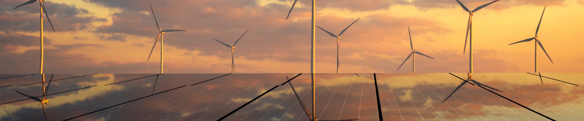 Capacity building session - Renewable Energy Sector Skills Council