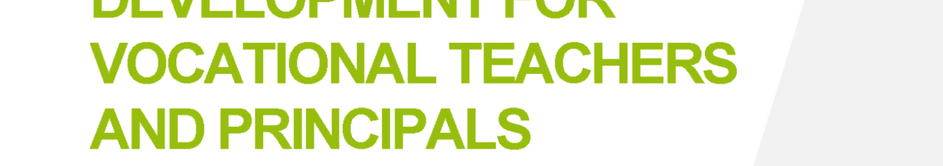 Continuing professional development for vocational teachers and principals in Turkey 2018: Executive summary