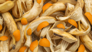 Bananas and oranges