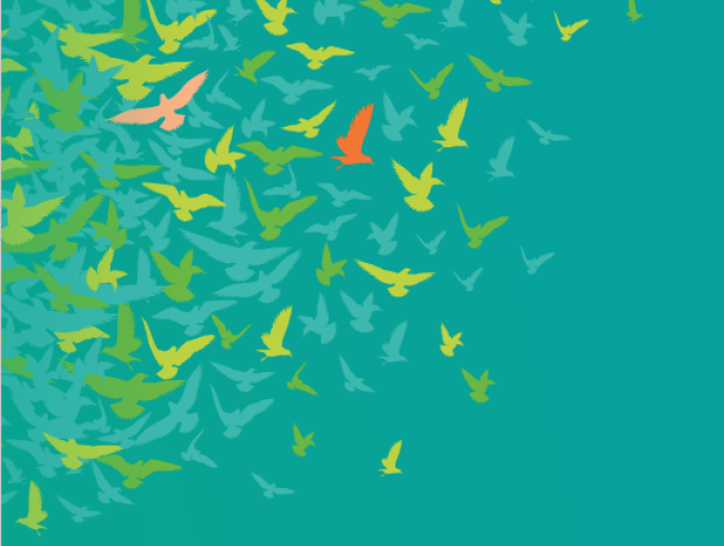 Skills and migration in changing labour markets